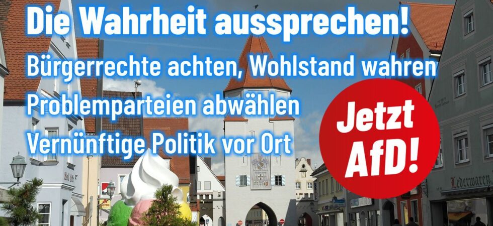 AfD Aichach-Friedberg